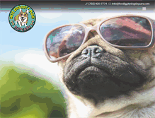 Tablet Screenshot of hotdiggitydogdaycare.com